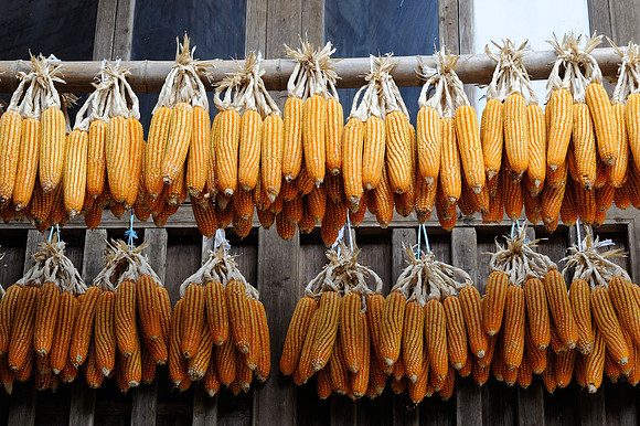Corn Rack - Longji, China