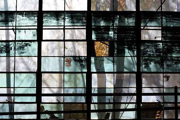 Rear Window