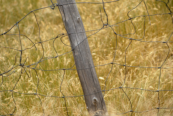 Fence - North Dakota, USA
