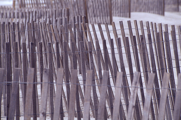 Sand Fence - Hunting Island, South Carolina, USA