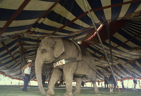 Pulling in the Poles
