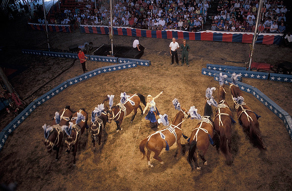 Horses