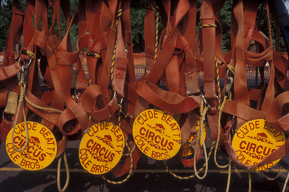 Circus Elephant Headpieces