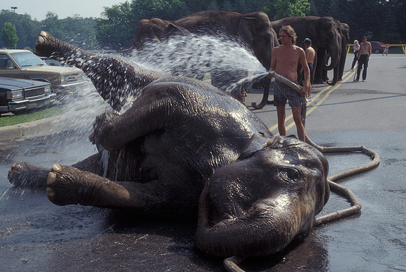 Bathing