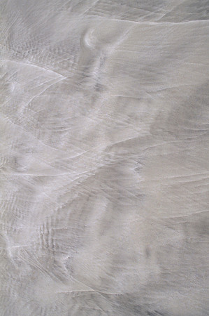 Beach Sands - Cumberland Island, Georgia, USA