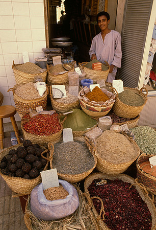 Spice Salesman - Luxor, Eqypt ●