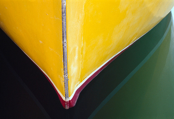 Yellow Bow - New Brunswick, Canada