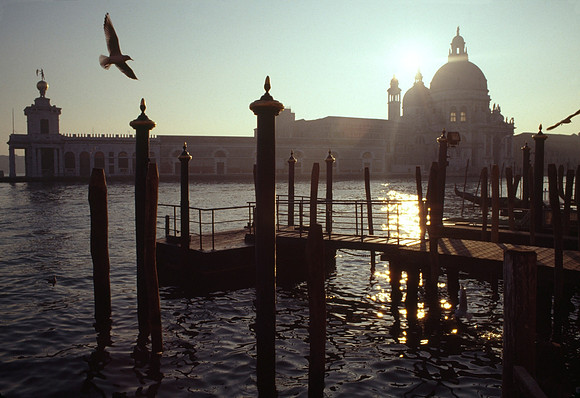Santa Maria della Salute - Venice, Italy