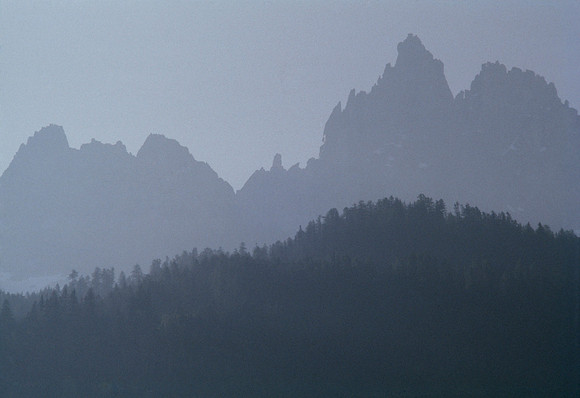 The Alps. Rock Line above the Tree Line - Chamonix, France ●