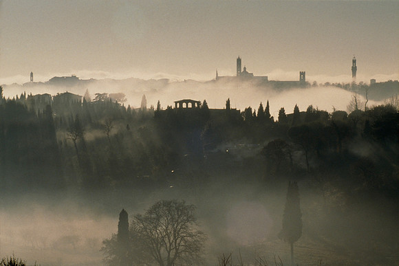 City Towers at Dawn - Sienna, Italy ●